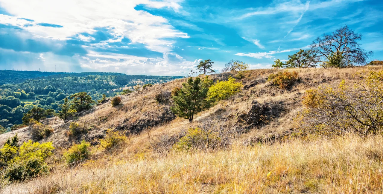 mohelno-serpentine-steppe-near-trebic-photo-shutterstock-artush-mmygz.webp