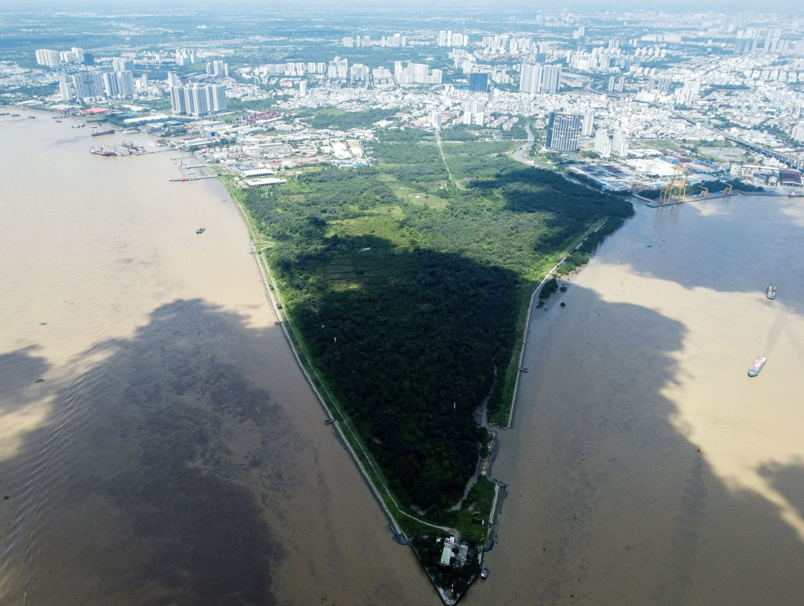 mui-do-1701009644546577275271.png