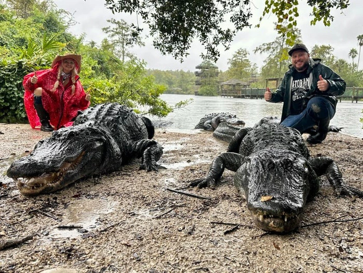 nd241012-ca-sau-len-bo-florida-17287084062211115468736.webp