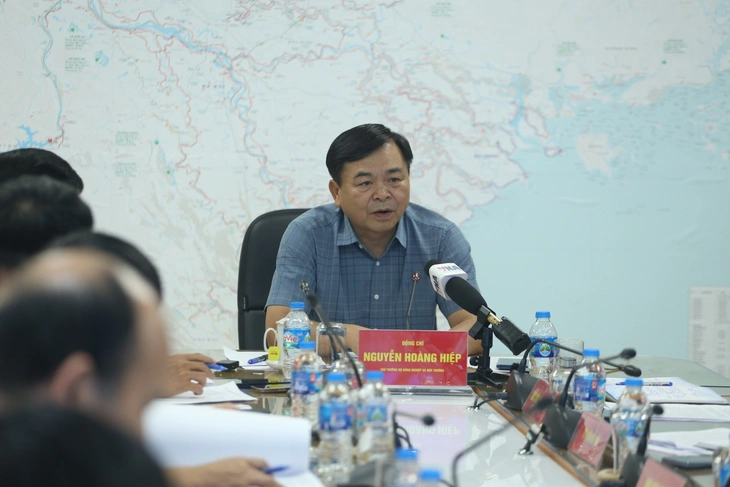 nguyen-hoang-hiep-bao-wipha-1752830729886715990621.webp