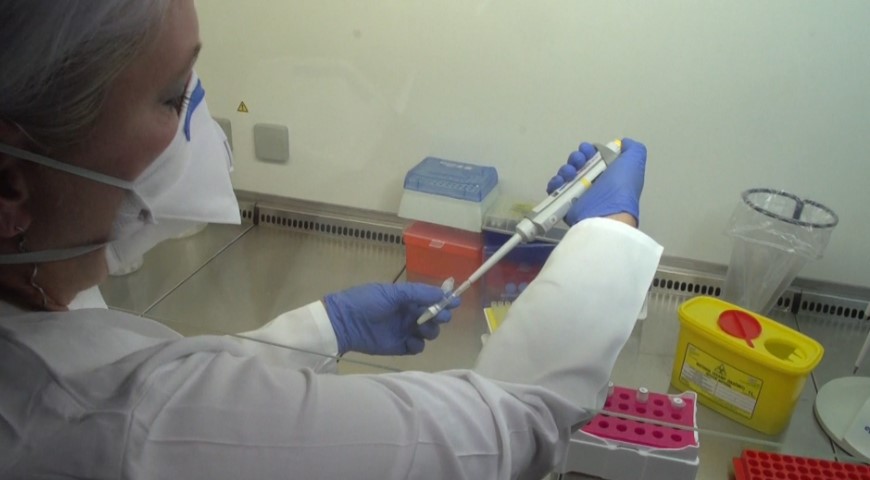 novovirus.jpg
