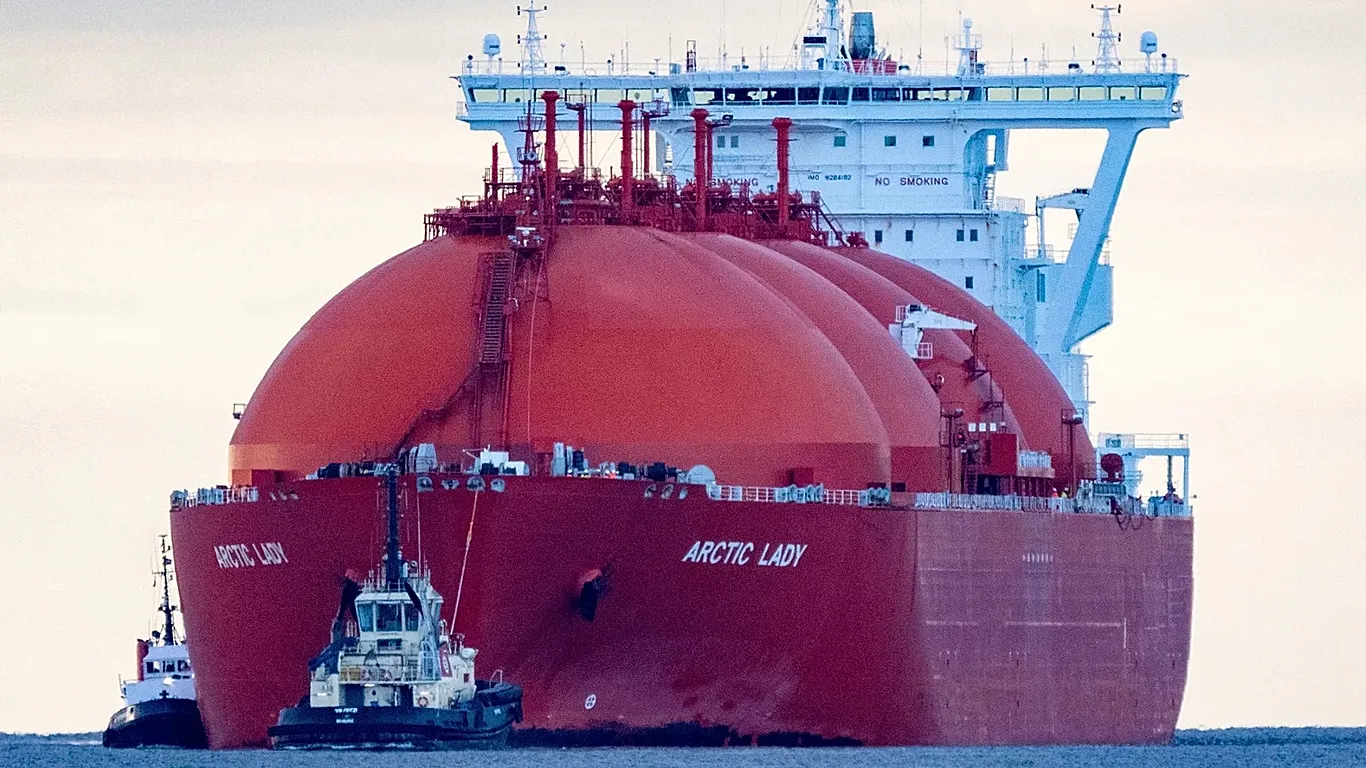 oil.webp