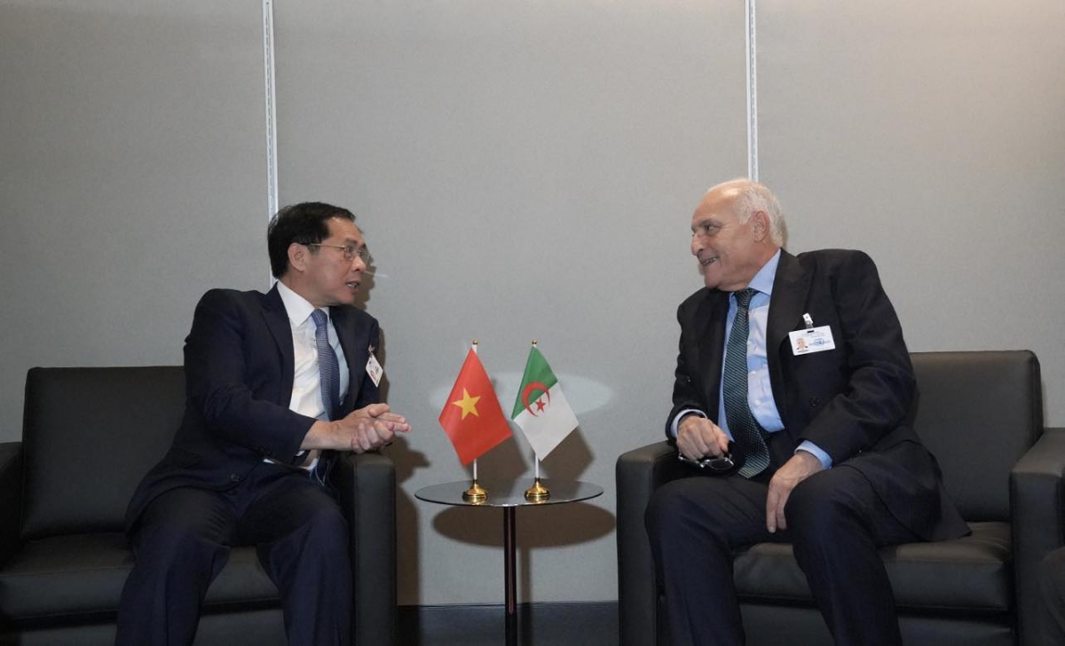 pho_thu_tuong_bo_truong_ngoai_giao_bui_thanh_son_va_bo_truong_ngoai_giao_algeria_ahmed_attaf_.jpg