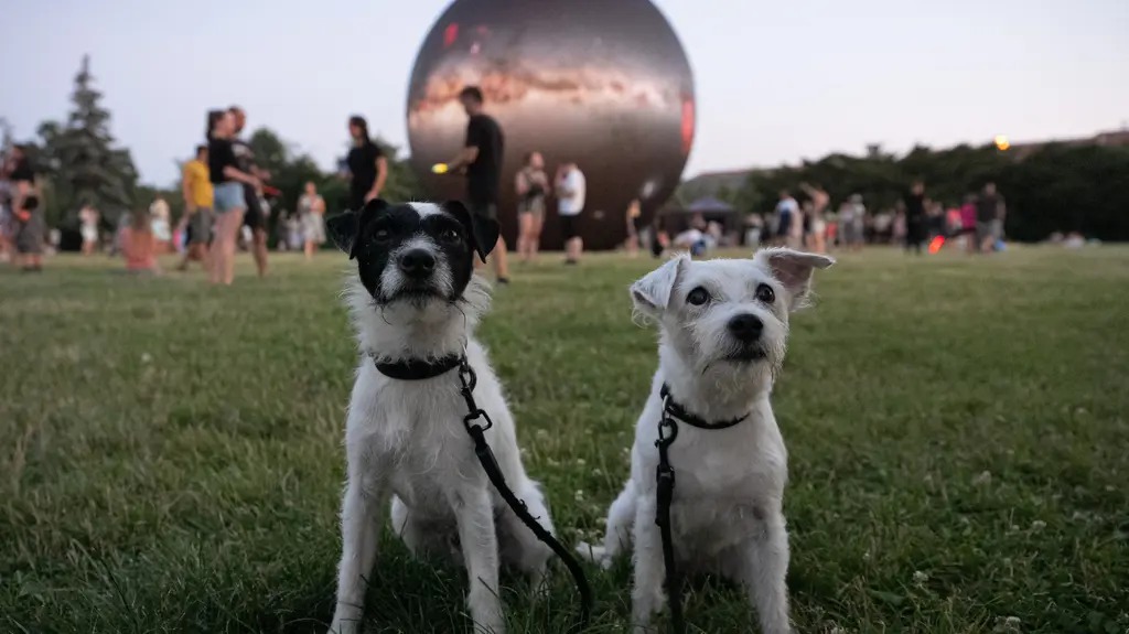 planeta-planety-festival-planet.jpg