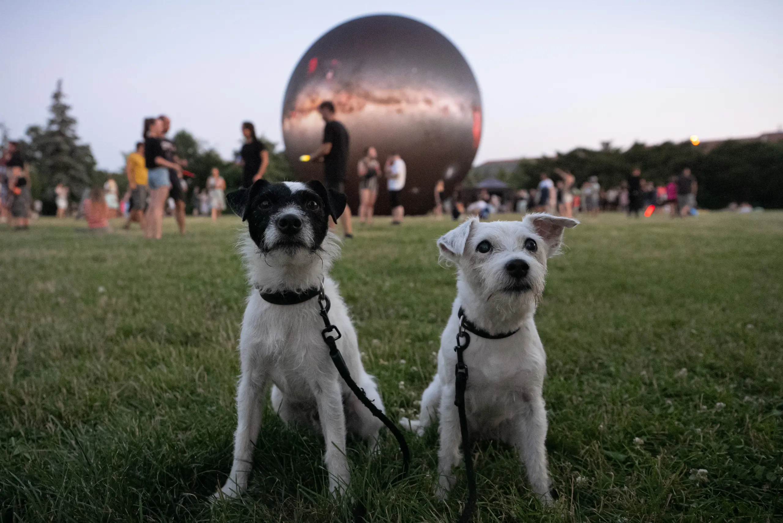 planeta-planety-festival-planet-brno (5).webp