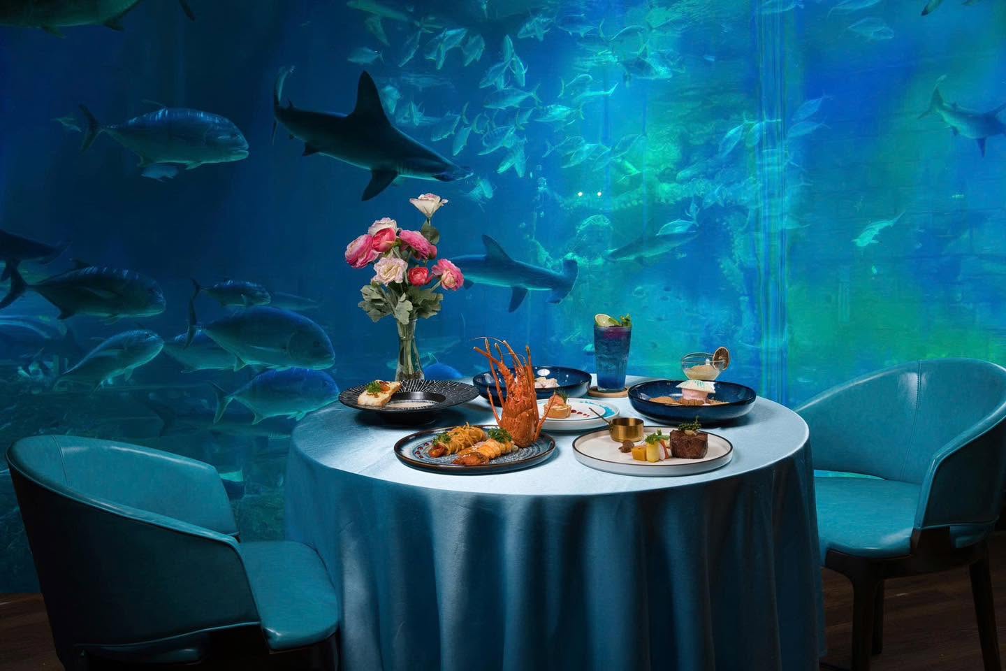 pq3.jpg