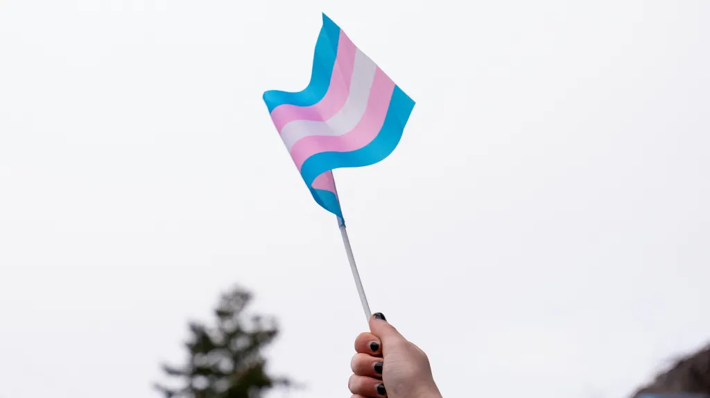 pride.webp