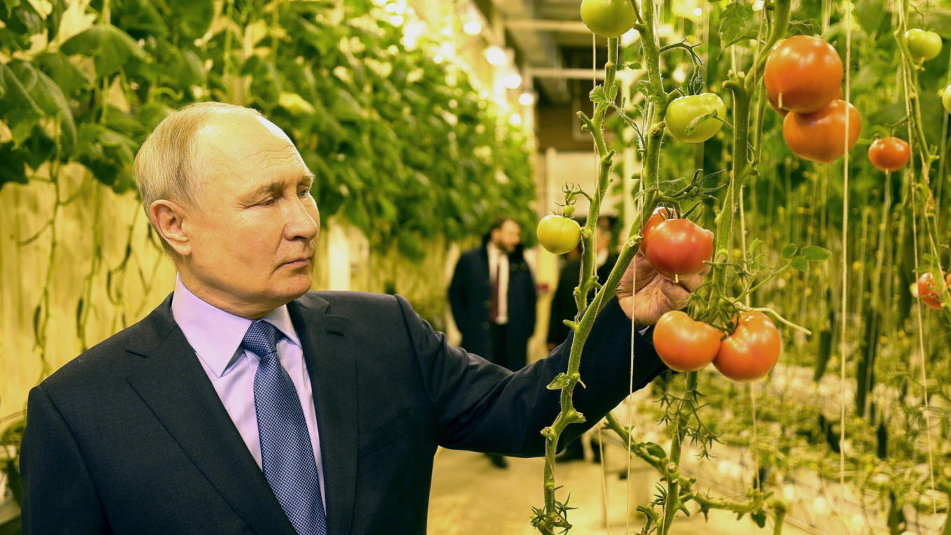 putin-tours-a-greenhouse-in-chukotka-on-wednesday-tass-1704957447787 (1).webp