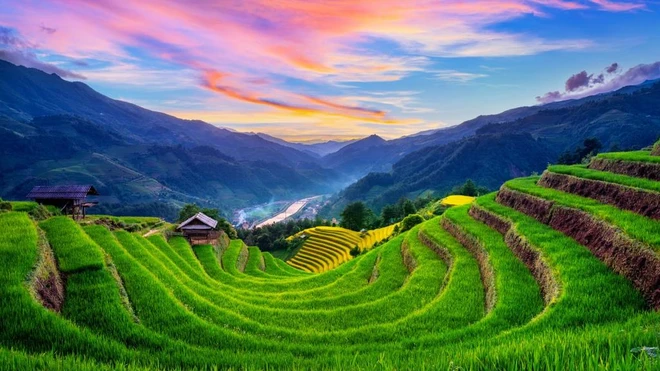 sapa-1929.jpg.webp