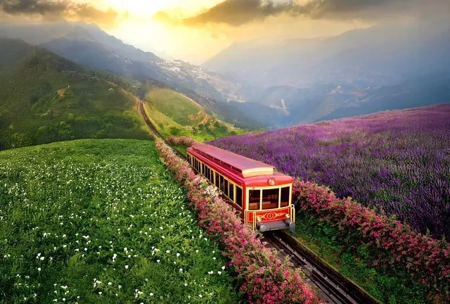 sapa.webp