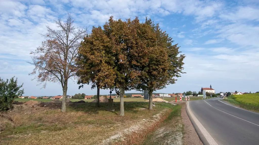 silnice-krajina-strom-ekologie.jpg