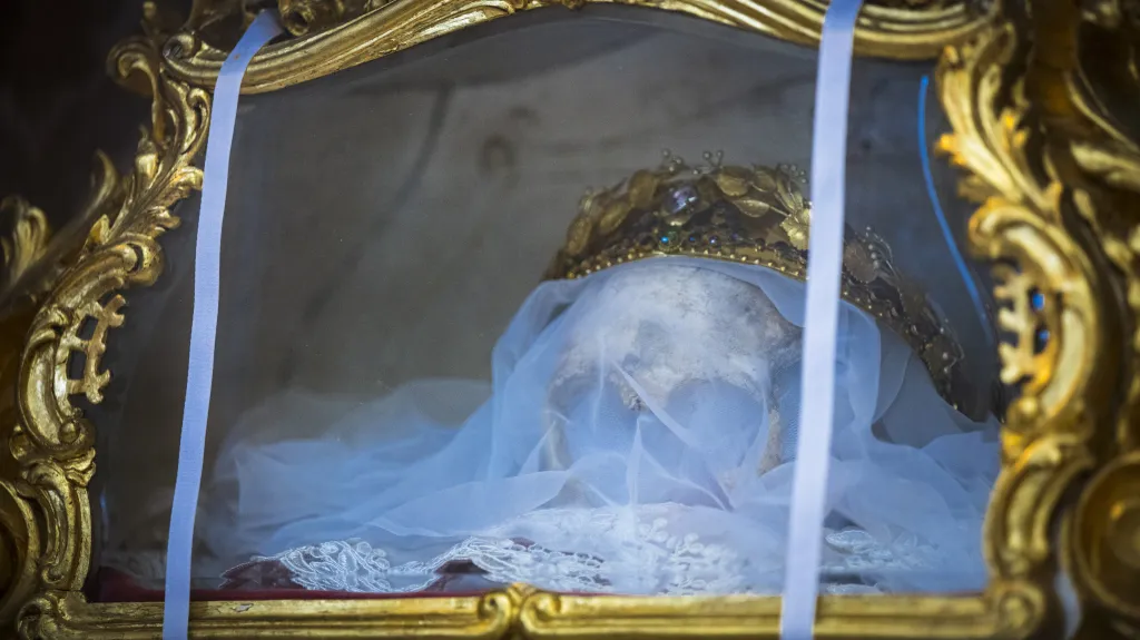 st zdislava.webp