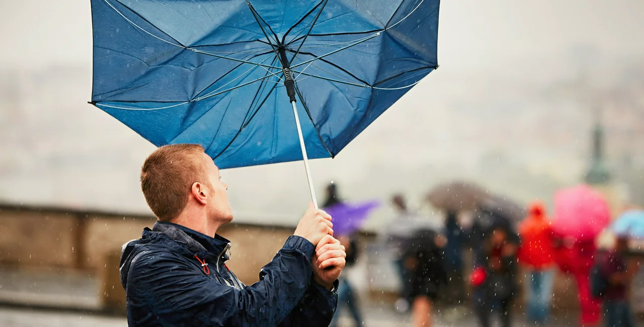 strong-winds-from-storm-sabine-leave-nearly-100-000-czech-homes-without-power-jpg-gdort.webp