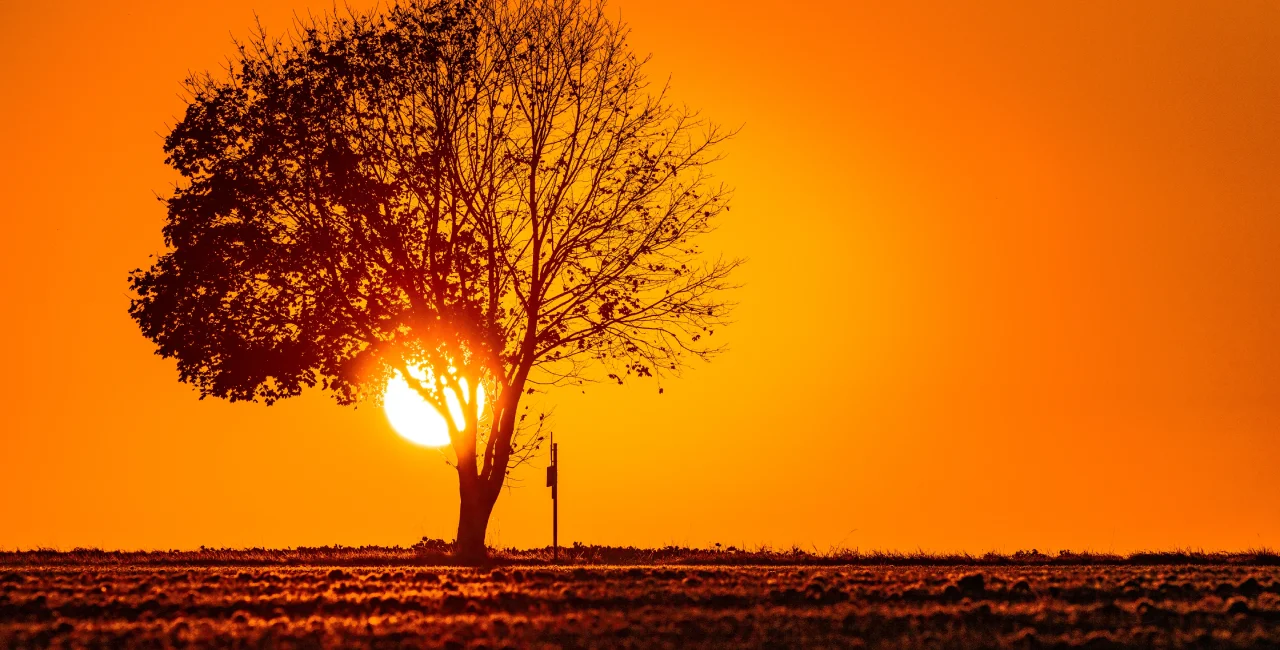 summer-sunrise-in-bechyne-south-bohemia-photo-shuitterstock-petrpodhajsky-ubdpf.webp