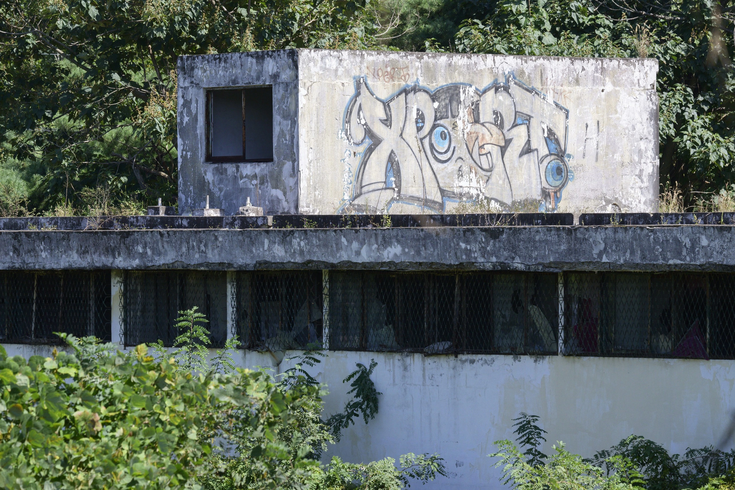 tin HQ.webp