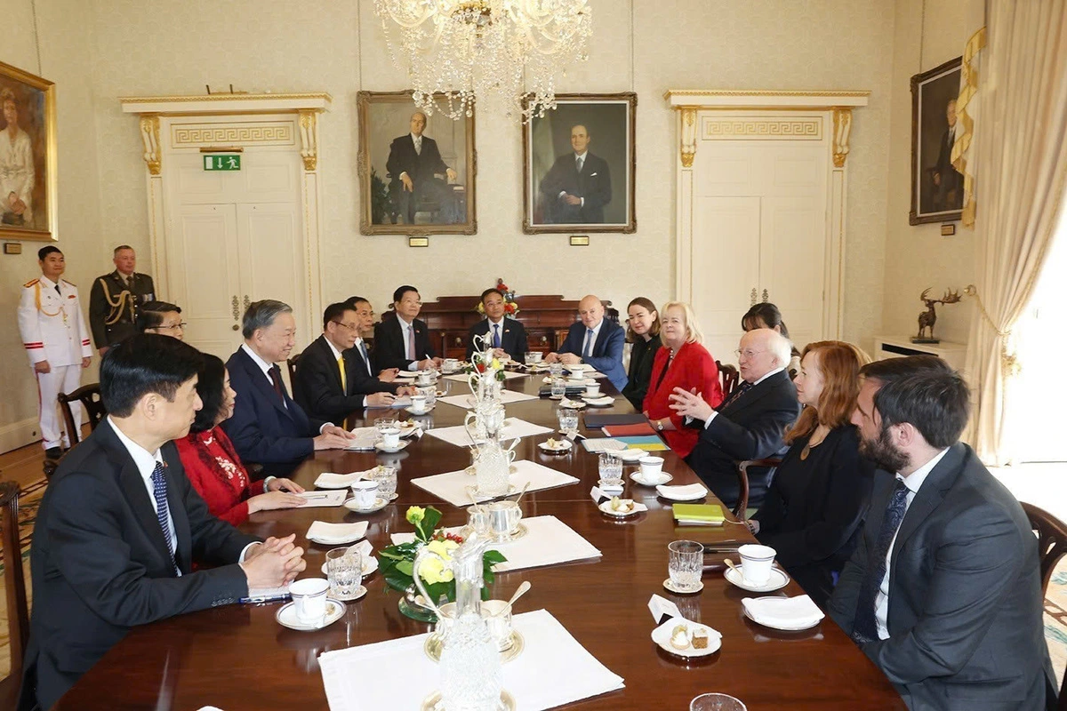 to-lam-ireland-hoi-dam-2-17278866631942032529186.webp