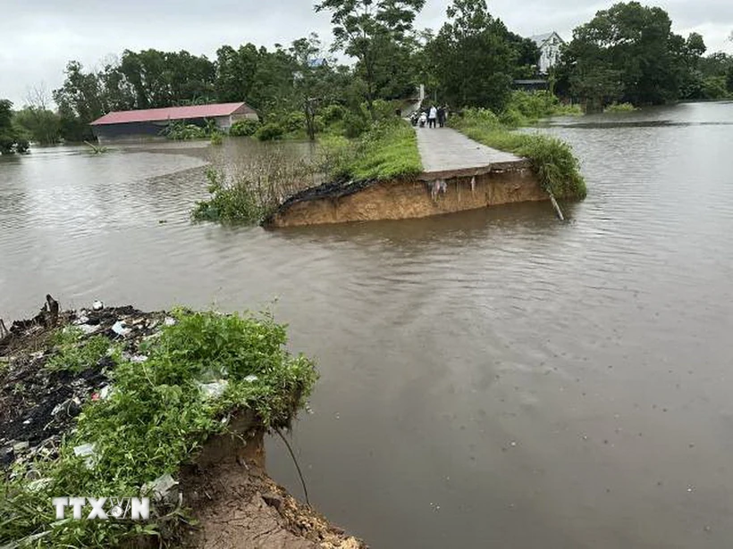 ttxvn-dam-khoai-3593.jpg.webp