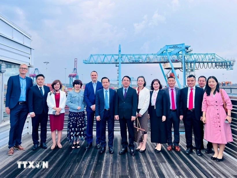 ttxvn-hai-phong-thuy-dien-4969.jpg.webp