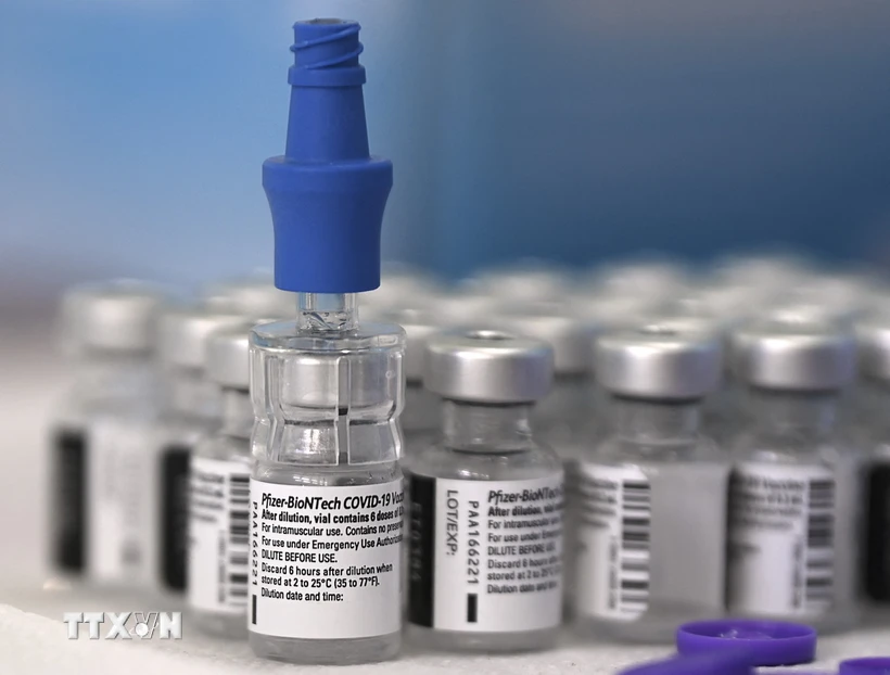 ttxvn-pfizer-1245.jpg (1).webp