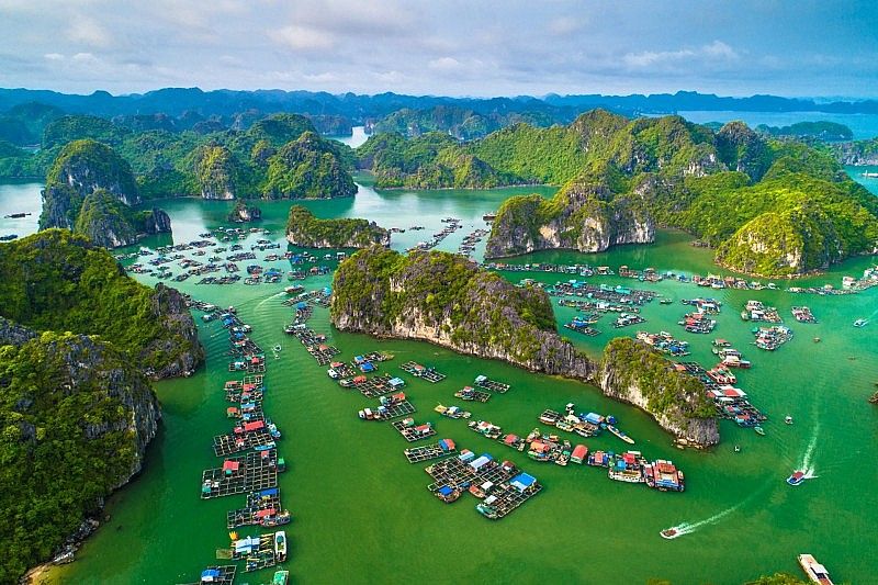vinhhalong20230916235856.jpg