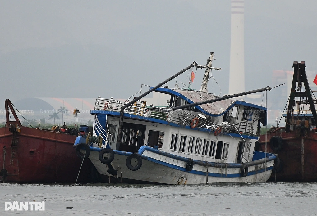 vu-lat-tau-vinh-xanh-o-ha-long-bao-hiem-du-kien-boi-thuong-hon-14-ty-dong-1753176730469.webp