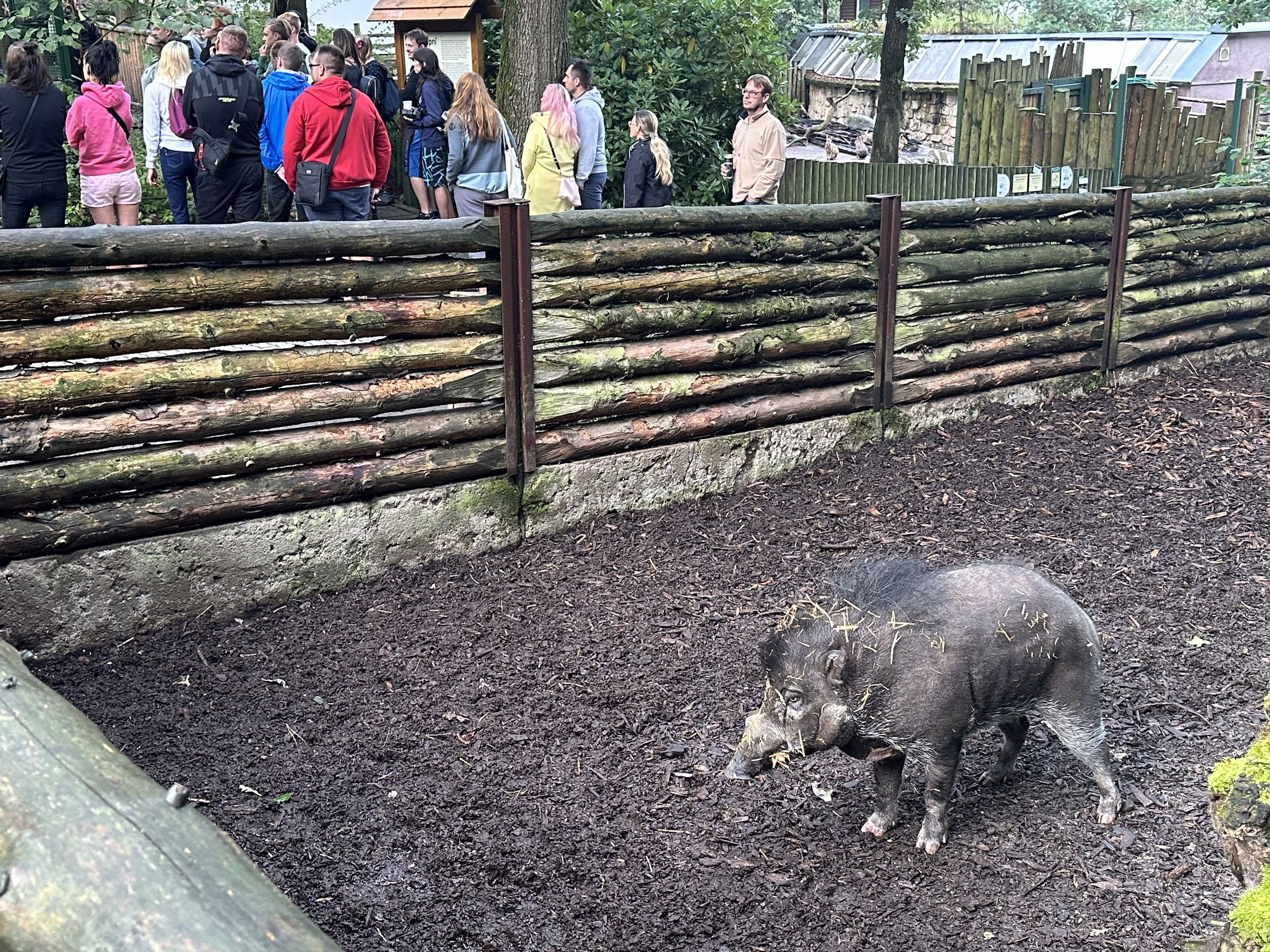 zoo-decin-komentovana-prohlidka-18.jpeg